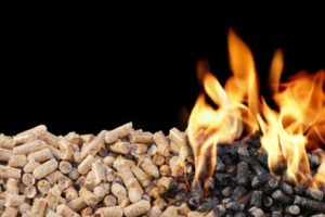 Produkcja pelletu zanieczyszcza środowisko w zdecydowanie mniejszym stopniu niż wydobywanie paliw kopalnianych Pellet