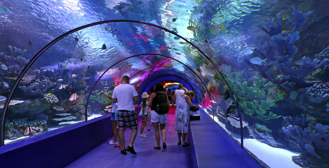 Największe oceanarium na świecie znajduje się w chińskim parku rozrywki