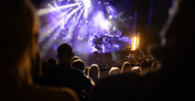 Ambient Festival