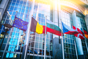 Staż w Parlamencie Europejskim
