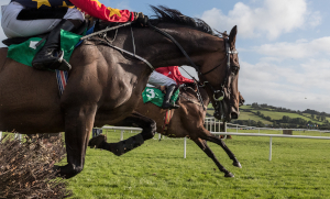 wyścigi konne - jump racing