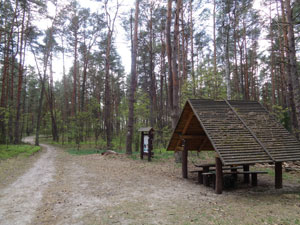 Puszcza Kampinoska
