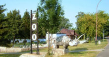 ZOO w Zamościu