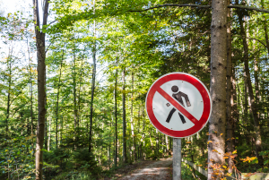 Koronawirus w Polsce - zakaz wstąpu do lasów