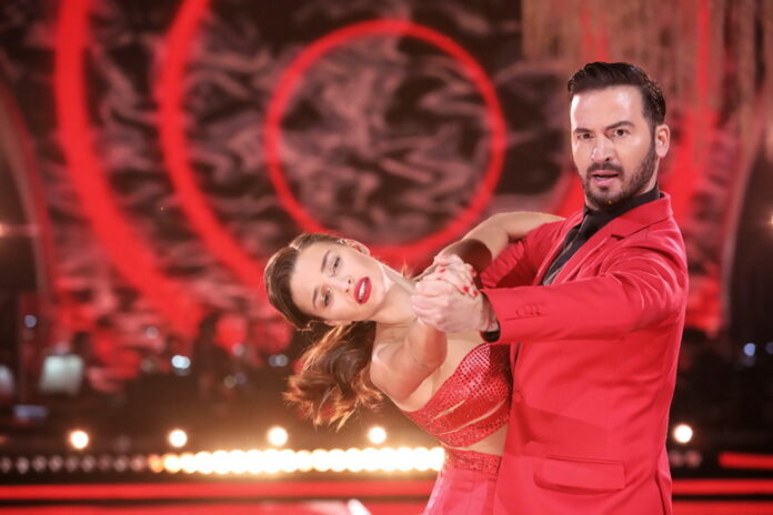 Julia Wieniawa, Stefano Terrazzino