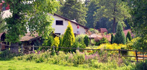 Miłośnicy jazdy konnej powinni koniecznie odwiedzić Rancho pod Olszyną, gdzie oferują naukę jazdy konnej. Rancho pod Olszyną