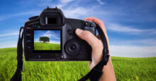 Złap wiosnę na fotografii – konkurs w Tomaszowie Mazowieckim