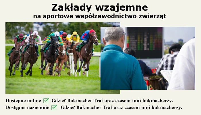 Zakłady wzajemne na sportowe współzawodnictwo zwierząt to w praktyce zakłady na wyścigi konne. zakłady wzajemne na sportowe współzawodnictwo zwierząt