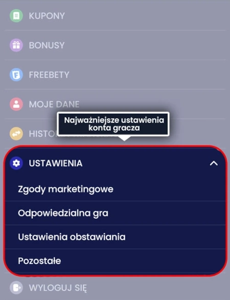 Kluczowe opcje dotyczące konta gracza znajdziesz w aplikacji ETOTO w sekcji „Ustawienia" ETOTO aplikacja - ustawienia konta gracza